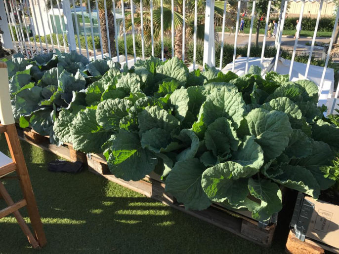 articoli per il giardinaggio rn  rimini