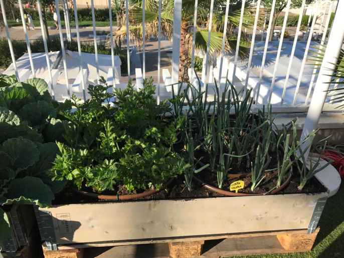 articoli per il giardinaggio