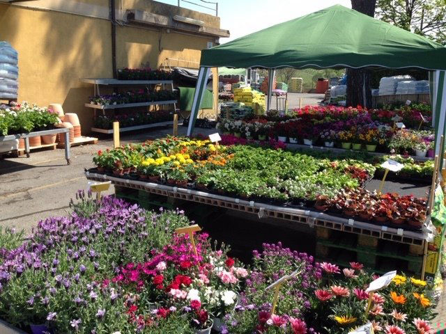 ARTICOLI PER GIARDINAGGIO  rimini rn